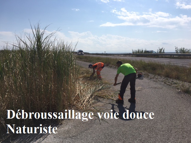 debroussaillage voie douce naturiste - Mairie de Leucate