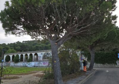 travaux quotidiens17 leucate 4 - Mairie de Leucate