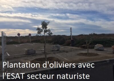 travaux quotidiens36 leucate2025 2 - Mairie de Leucate