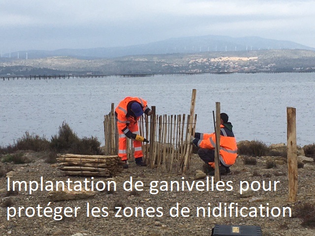 travaux quotidiens39 leucate2025 2 - Mairie de Leucate